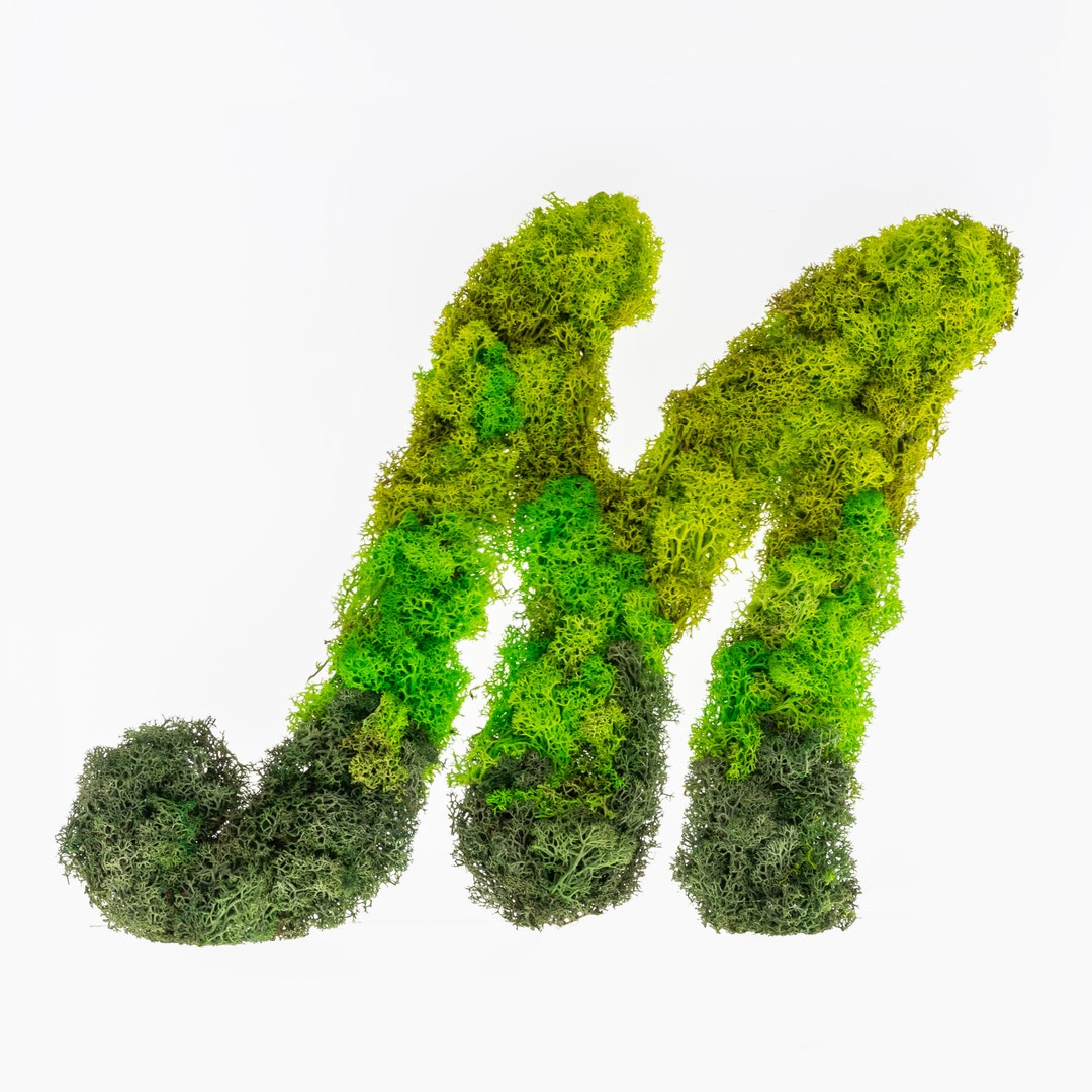 WELCOME Letter Art Moss Wall Decor