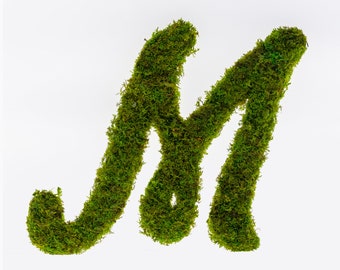 Custom Decor Preserved Moss Wall Letter Art