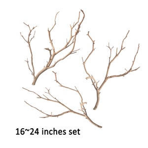 Manzanita Branches from Real Manzanita, Natural Branch - Sandblasted White & Natural Brown