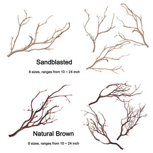 Manzanita Branches from Real Manzanita, Natural Branch - Sandblasted White & Natural Brown