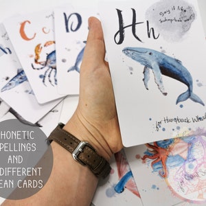 May include: A set of 26 ocean-themed alphabet flash cards with phonetic spellings. Each card features a different ocean animal and the corresponding letter. The card shown features a blue whale and the letter "H" with the phonetic spelling "huhmp-bak".