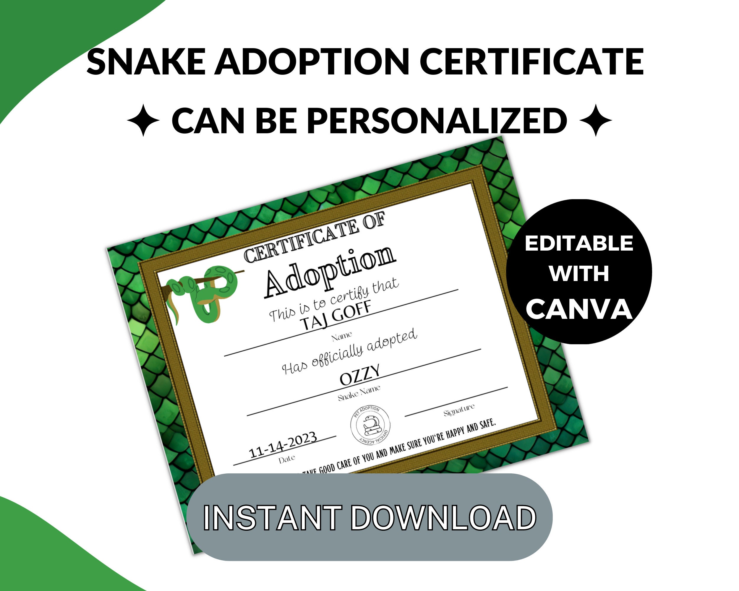 Reptile Rescue Form Snake Adoption Certificate | Editable Canva Template | Printable ...