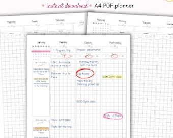 Monthly planner, monthly calendar, yearly planner, weekly planner, digital planner, year planner, printable monthly planner, daily schedule