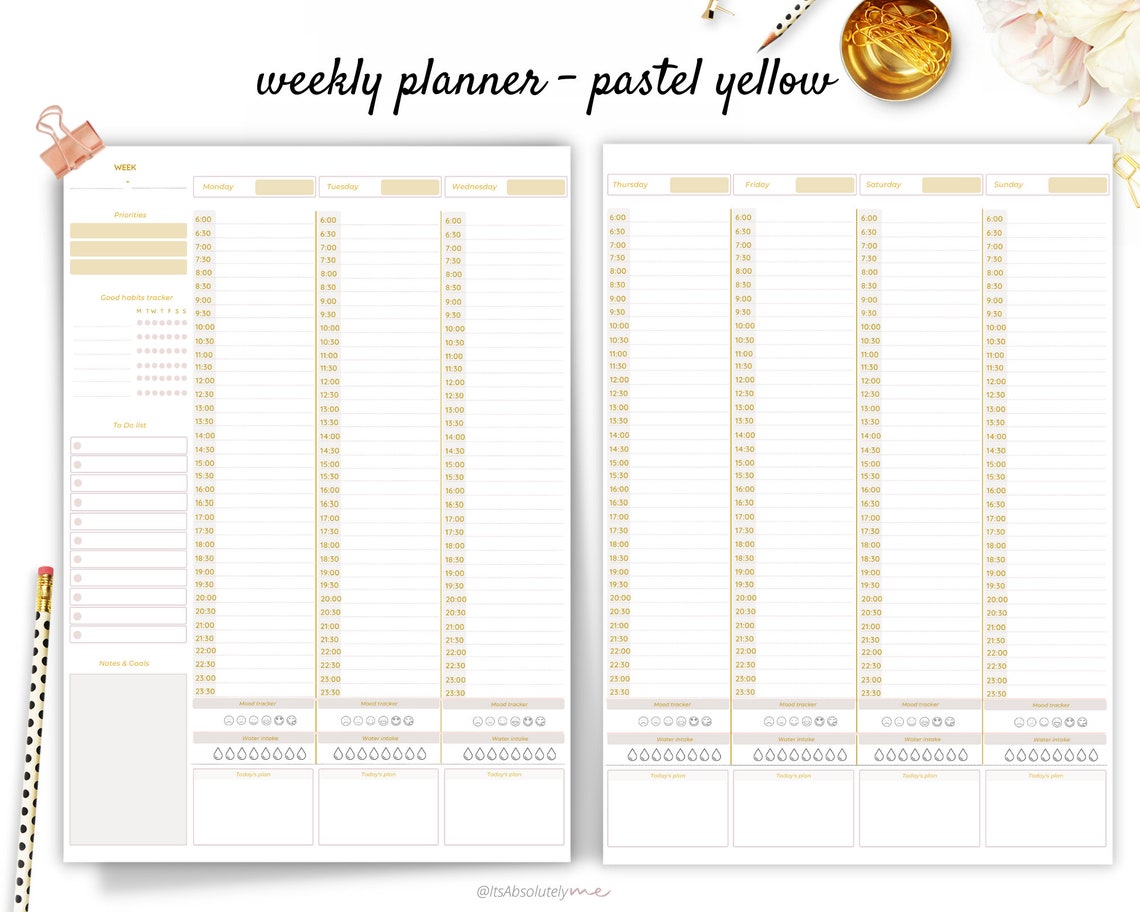 2022 Hourly Planner Hourly Planner Printable Hourly Daily Etsy