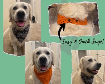 Personalized Reversible Dog Bandana with Snaps