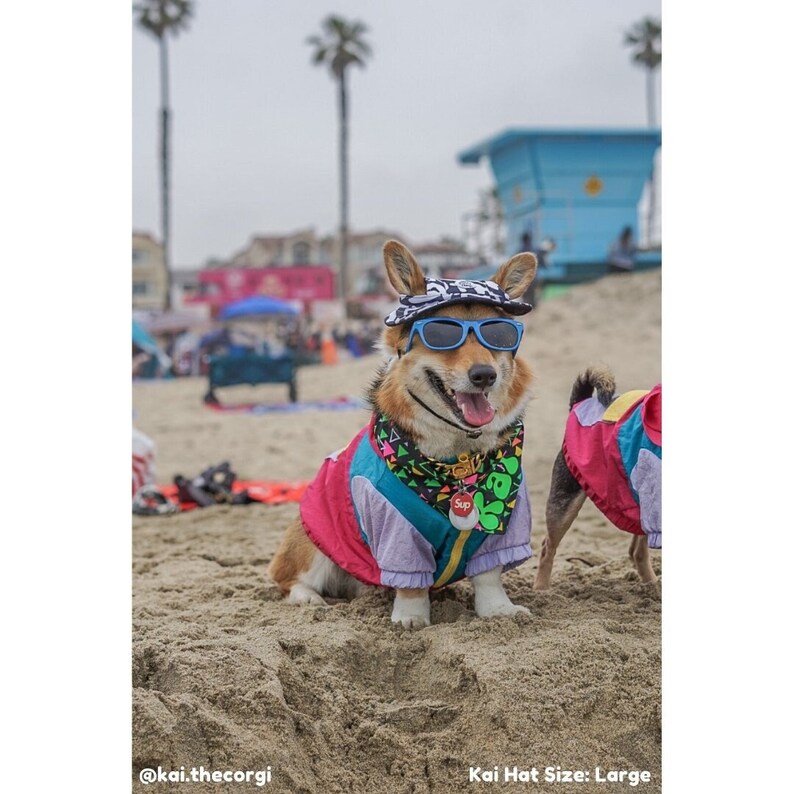 May include: A corgi dog wearing a blue and white patterned hat, blue sunglasses, a pink, purple, and teal jacket, and a black and neon green bandana with the word "Sup" on it. The dog is sitting on a sandy beach with a lifeguard stand in the background. The text "Kai Hat Size: Large" is at the bottom of the image.