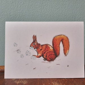 Écureuil // Carte de voeux
