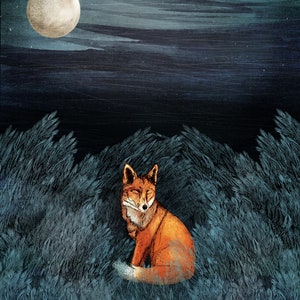 Renard et Lune Carte postale