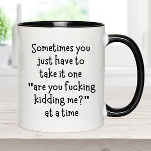 Snarky Mug, Sometimes You Just Have To Take It One "Are You Fucking Kidding Me," Adult Humor Mug, Office Mug, Funny Mug