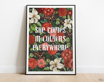 She/'s a Rainbow inspired music art print