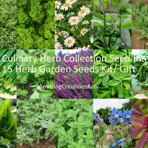Culinary Herb Collection Seed Kit/ 15 Herb Garden Seeds Kit/ Gift