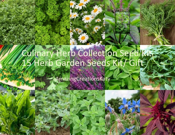 Culinary Herb Collection Seed Kit/ 15 Herb Garden Seeds Kit/ Gift