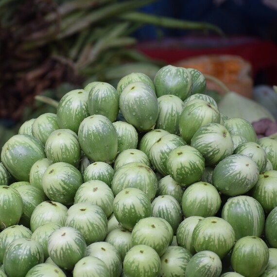 100+ Thai Eggplant Seeds – Petch Siam / Matti Gulla (Cà Pháo) – Organic Non-GMO – 2025 Harvest USA