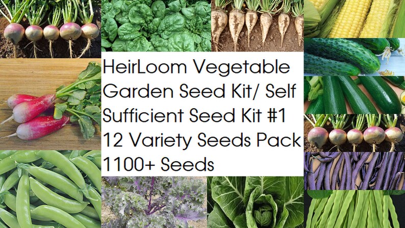 HeirLoom Vegetable Garden Seed Kit Self Sufficient Seed Kit #1