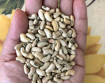tobacco worm bean Tobacco Worm Bean (white-seeded) (30 Seeds)