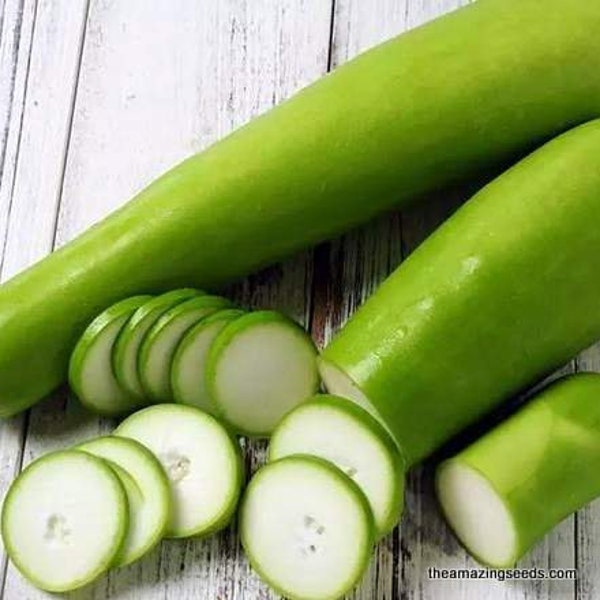 Indian Bottle Gourd, Sorakaya, Bâ'u Da Trön Trái Dài, NAM TAO NGAM Hybrid, Laudi, Doodhi, Ghiya Seeds