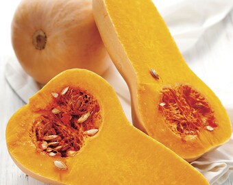 Waltham Butternut Winter Squash Seeds (Cucurbita Moschata)-25 Seeds