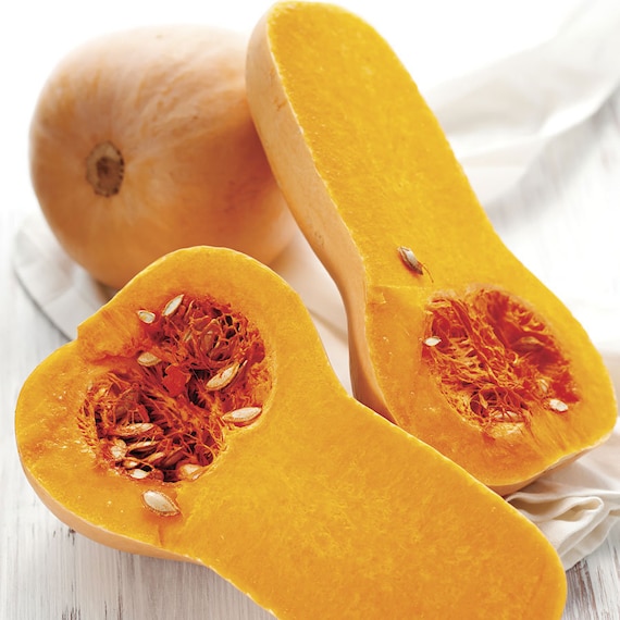 Butternut Pumpkin Butternut Squash In Ip Vegan Butternut Squash