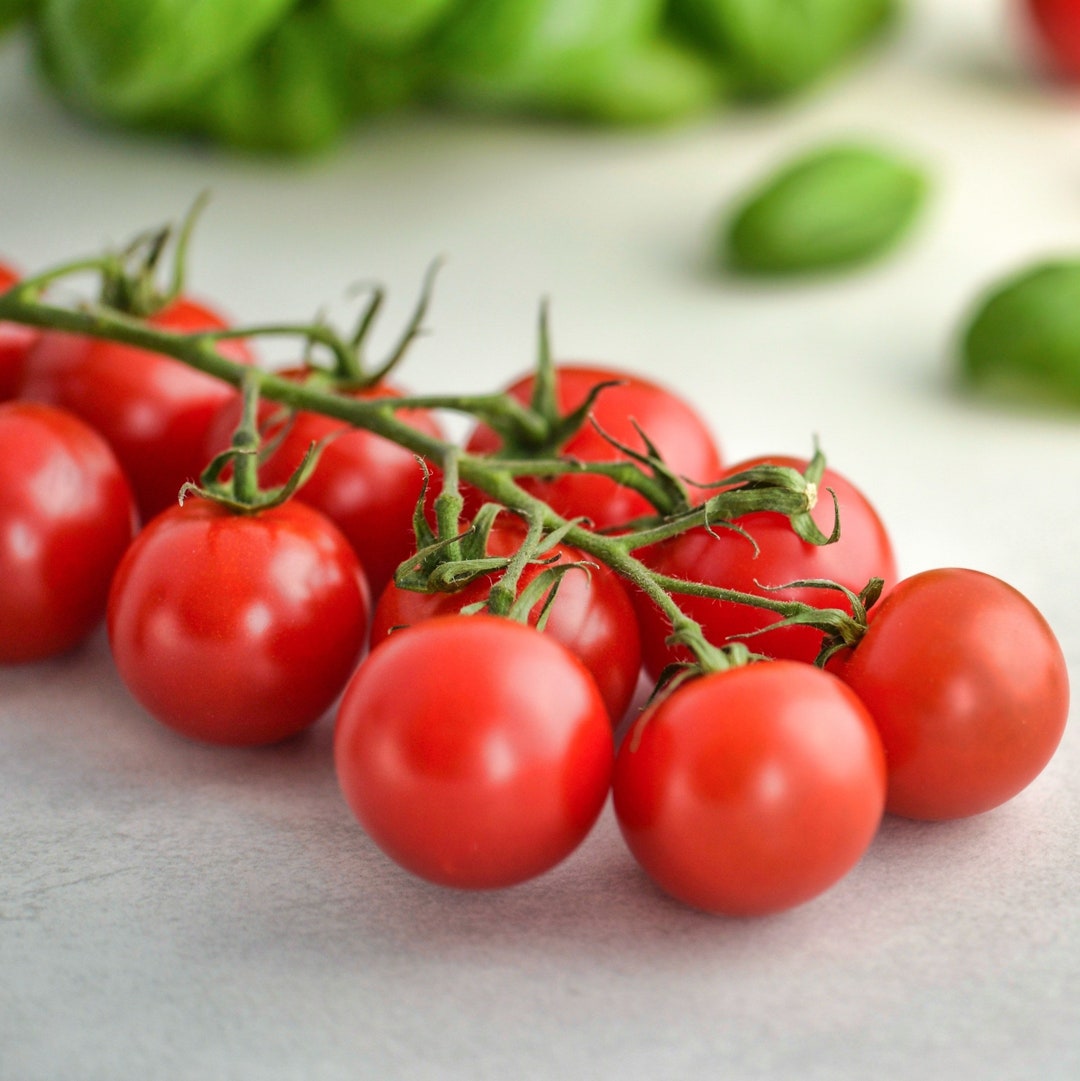 Heirloom Large Red Cherry Tomato Seeds Etsy