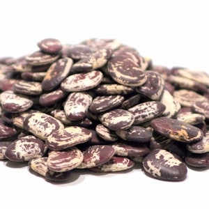 May include: A pile of brown and white speckled beans. The beans are oval shaped and have a mottled appearance.