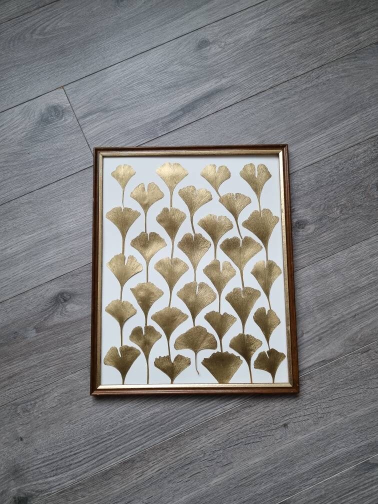 Herbier Fleurs Séchées- Décoration Murale - Cadre Herbier Herbarium Cadeau Floral. Décoration. Ginkg