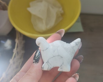 Dinosaure Howlite