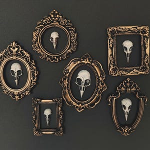 May include: Six ornate, gold-framed wall art pieces, each featuring a white bird skull against a black background. The frames vary in shape and design, creating a gothic or vintage aesthetic. The arrangement is on a dark gray surface.