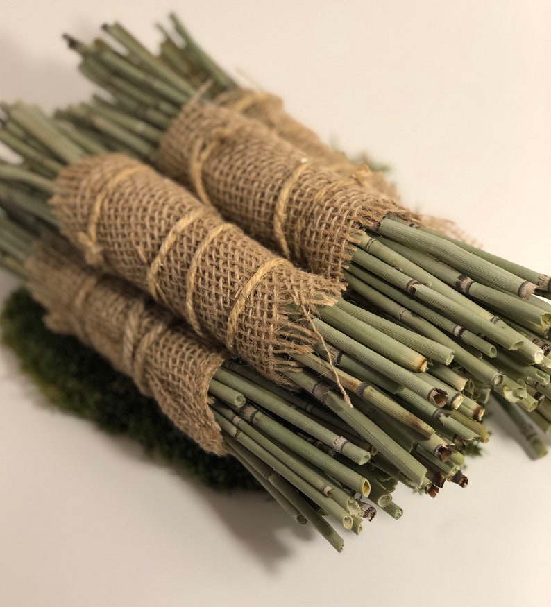 Rough Horsetail Medicinal Herb Bundles and Loose Leaf Ground Etsy