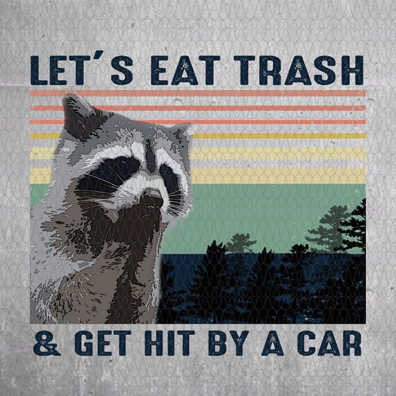 Vintage Raccoon Let's Eat Trash Get Hit By A Car Raccoons | Etsy