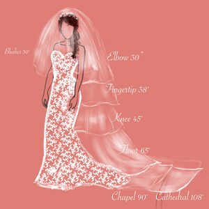 May include: Illustration of a bride in a white lace wedding dress with a veil. The image includes measurements for the veil lengths: Blusher 76 cm, Elbow 76 cm, Fingertip 97 cm, Knee 114 cm, Floor 165 cm, Chapel 229 cm, and Cathedral 274 cm.