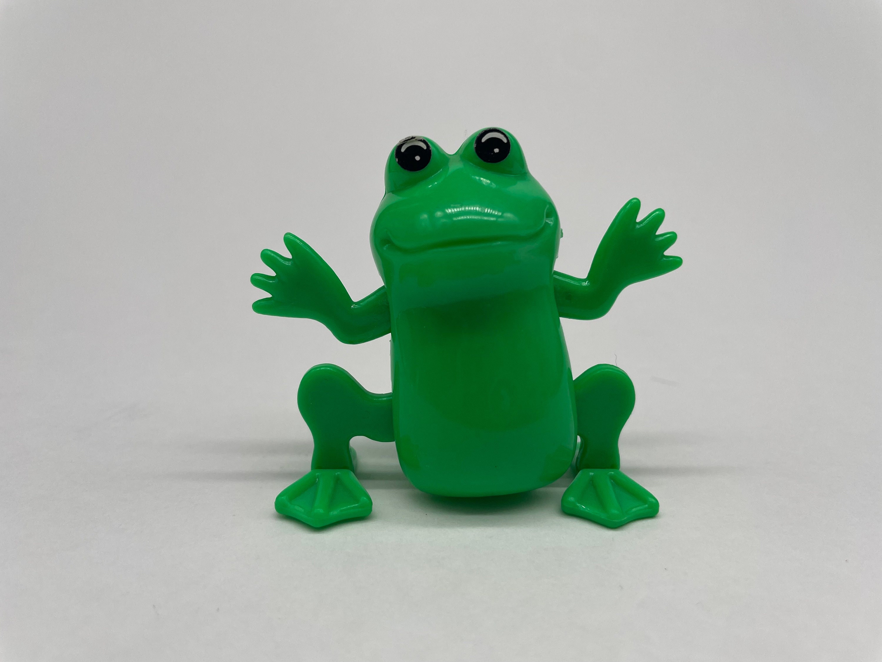 WORKING Wind-up Side Stepping Frog, as Seen on Baby Einstein