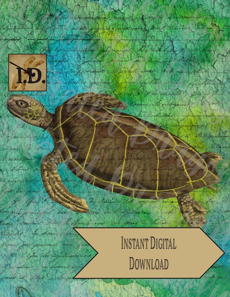 Sea Turtle Ephemera French Script Printable Digital Download Clip Art ...