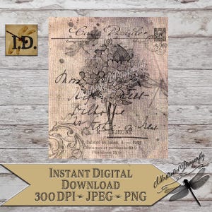 Flower & Dragonfly French Post Card Ephemera Carte Postale Printable Digital Download Clip Art Sublimation Print DIY Sign Making Floral PNG