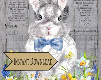 Easter Spring Blue Bunny Floral French Ephemera Printable Digital Image Download Clip Art Sublimation