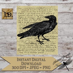 Vintage Crow Raven Script Halloween Printable Clip Art Instant Digital Fabric Transfer Sublimation Print DIY Sign Making Digital Decor Image