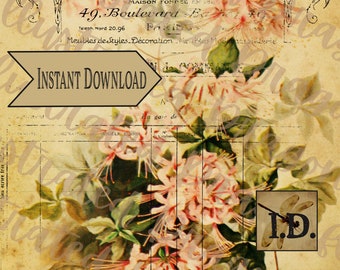 Vintage French Floral Botanical Ephemera Printable Digital Download Clip Art