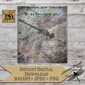 Libelle Ephemera druckbare digitale Sofortiger Download Clip Art Sublimationsdruck digitale Kunst DIY-Schilder machen digitale Libelle PNG