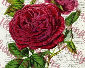 Vintage French Floral Rose Ephemera Printable Digital Download Clip Art