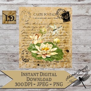 Dragonfly and Lotus Flower French Carte Postale Ephemera Printable Digital Download Clip Art Sublimation Print Digital Art Dragonfly PNG