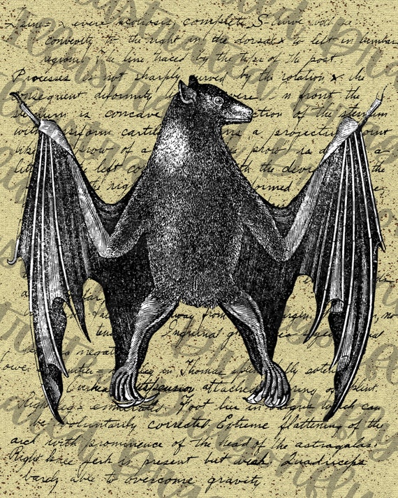 Vintage Bat Script Halloween Printable Clip Art Instant | Etsy