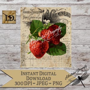 Strawberry Printable French Script Farmhouse Strawberry PNG Digital Download Clip Art PNG Fabric Transfer Sublimation Print DIY Sign Making