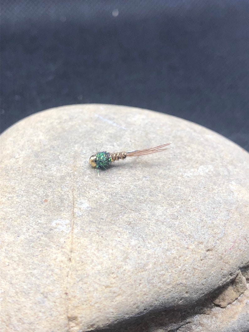 Size 16 pheasant tail nymph