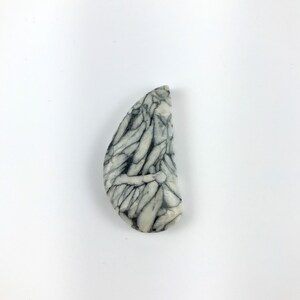 May include: A polished, semi-circular stone with a unique pattern of black veins against a creamy white background. The stone's shape is reminiscent of a teardrop or a stylized leaf, showcasing natural textures and colors.