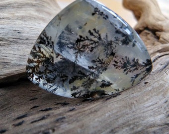Triangular shaped Cabochon Dendritic Quartz