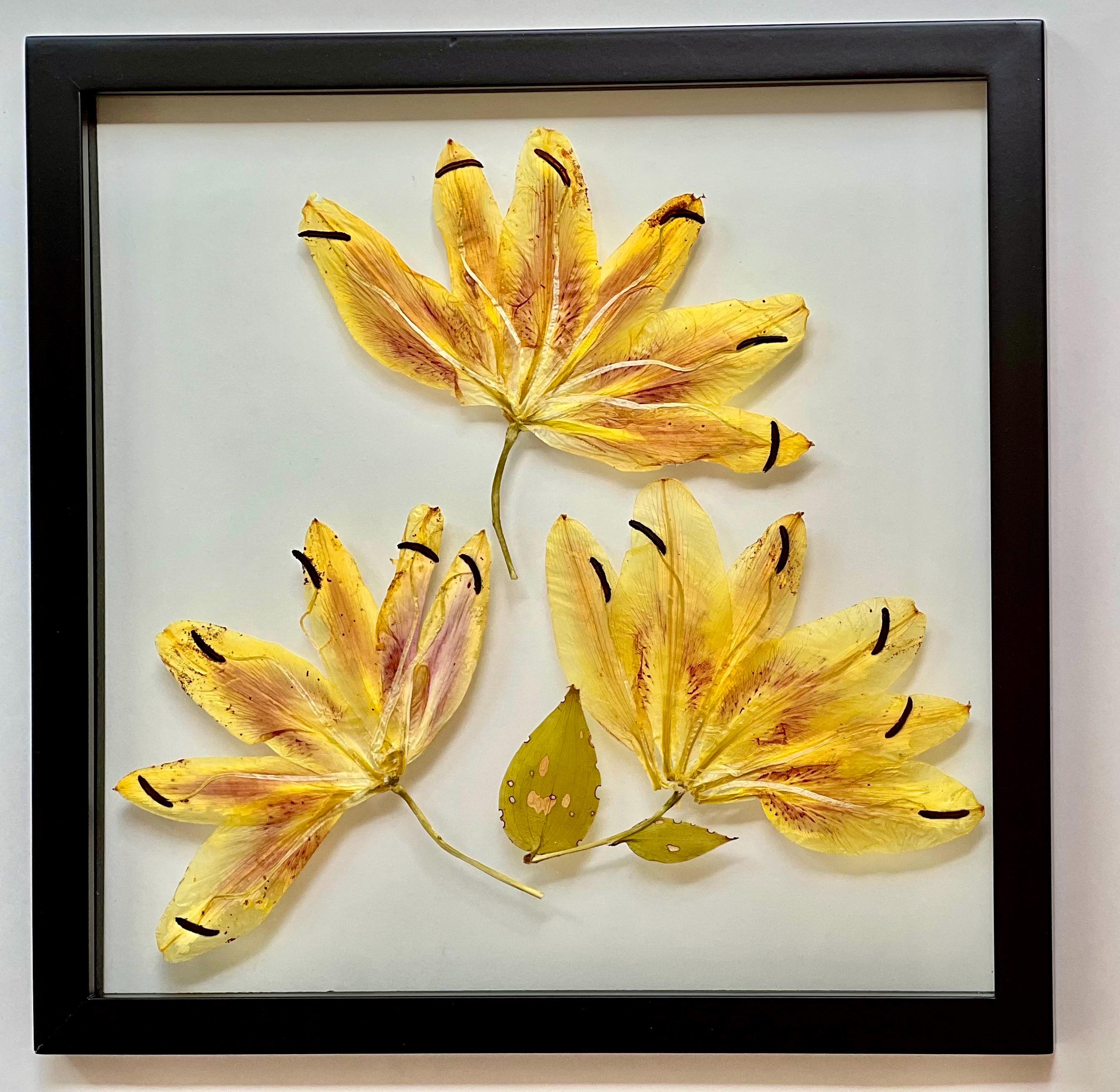 lily⭐︎ Amazon.com: Tiger Lily Satin 11 Artificial Flowers 19