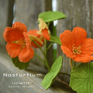 Crochet Nasturtium(Tropaeolum)- Crochet Pattern for Nasturtium