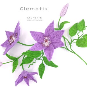 Puede incluir: Un ramo de flores de clem&aacute;tide de ganchillo con flores moradas y hojas verdes. El ramo est&aacute; etiquetado como "Clematis" y "LYCHETTE - CROCHET NATURE -."