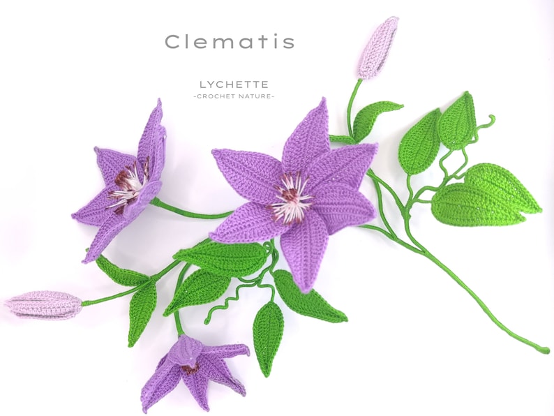 Puede incluir: Un ramo de flores de clem&aacute;tide de ganchillo con flores moradas y hojas verdes. El ramo est&aacute; etiquetado como "Clematis" y "LYCHETTE - CROCHET NATURE -."