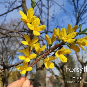 Könnte beinhalten: Gehäkelte gelbe Forsythienblüten an einem Zweig vor blauem Himmel. Der Text "Forsythia Lychette - Crochet Nature -" ist unter den Blüten sichtbar.