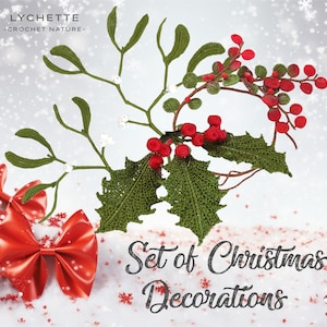 Könnte beinhalten: Set aus gehäkelten Weihnachtsdekorationen mit einem Mistelzweig mit weißen Beeren und einem Stechpalmenzweig mit roten Beeren. Der Text "Set of Christmas Decorations" ist in weißer, kursiv geschriebener Schrift auf einem schneebedeckten Hintergrund geschrieben.
